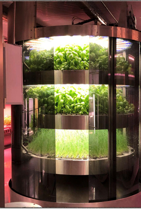 Projects_R&D7-_Circle nursery 3