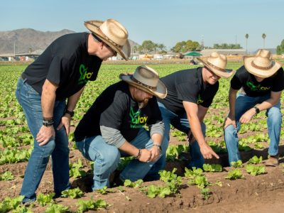 Larry, Jesse, Tzachi, Avi Examining Some Lettuce yac_098_(2)